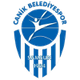 萨姆松女篮logo