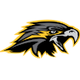 夜鹰logo