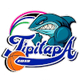 蒂皮塔帕女篮logo