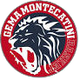 吉马蒙特卡蒂尼logo