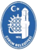 乔鲁姆市logo