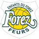 福雷斯logo