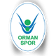 奥尔曼女篮logo