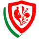 艾尼克费伦泽logo