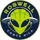 罗斯韦尔女篮logo