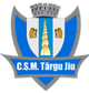 CSM特尔古捷乌B队logo