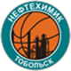 托波尔斯克logo