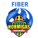 霍米加斯女篮logo