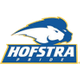 霍夫斯特拉女篮logo