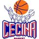 切奇纳logo