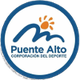 普恩特阿尔托logo