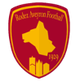 罗德兹II队logo