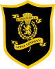 利文斯顿女足logo