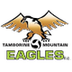 坦博林山鹰logo