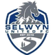 塞尔温联合后备队logo