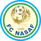 纳萨夫女足logo