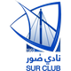 苏尔logo