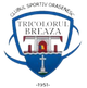CS布雷亚萨logo