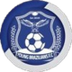 巴西人青年队logo