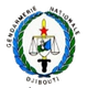 CF国家宪兵队logo