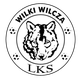 LKS威尔金斯logo