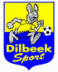 迪比克体育logo