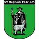 海格纳克女足logo