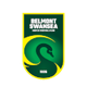 贝尔蒙特斯旺西SC后备队logo