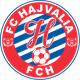 哈哲沃利亚女足logo