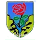 ASD塞拉韦扎足球logo