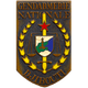 国际宪兵队logo