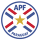 巴拉圭沙滩足球队logo