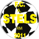 斯泰尔斯沙滩足球队logo