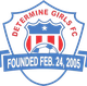 德特麦女足logo