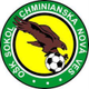 奇米尼斯卡诺瓦维斯logo