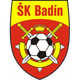 SK巴丁logo