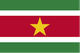 苏里南女足logo