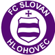 赫洛霍韦茨logo