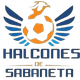 萨巴内塔酒店logo