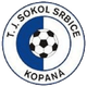 索科尔斯拜斯logo