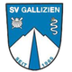 SV加利钦logo