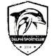 德尔福SC女足logo
