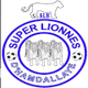 超级狮子女足logo