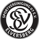 艾禾斯堡青年队logo