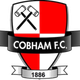科巴姆logo