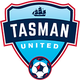 塔斯曼联logo