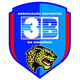 3B体育AM女足logo