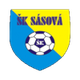 SK萨克森州logo