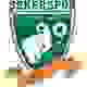 伊特梅斯格logo