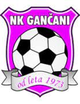 NK甘查尼logo